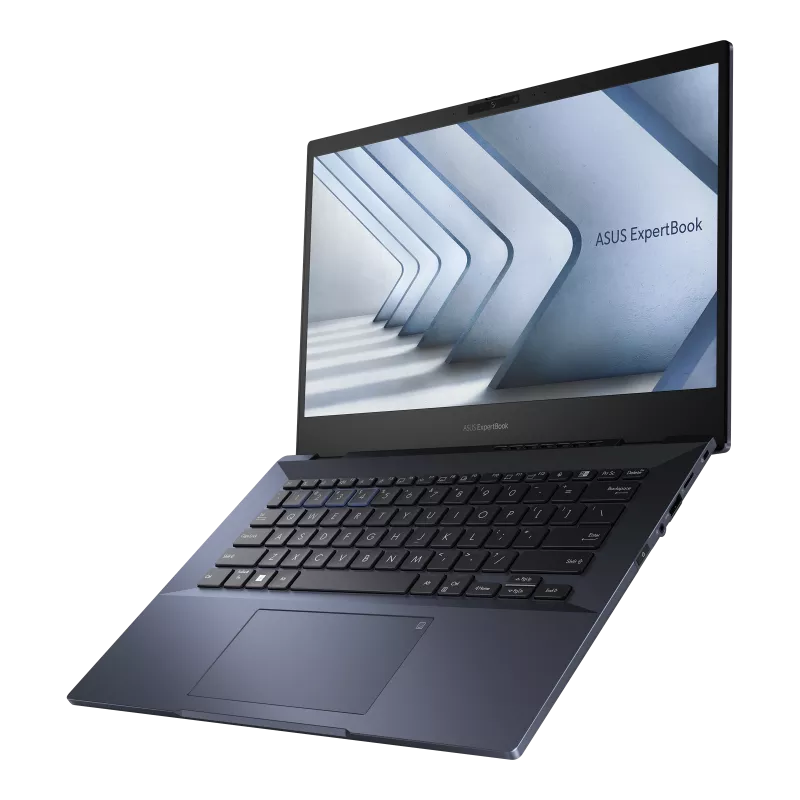 Asus Expertbook B5
